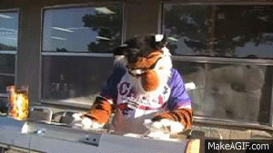 Tiger playing piano